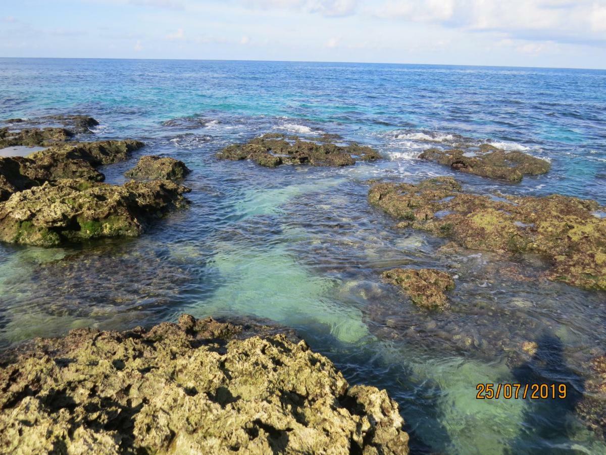 Mishe B&B也可包棟民宿 Cape Eluanbi ภายนอก รูปภาพ